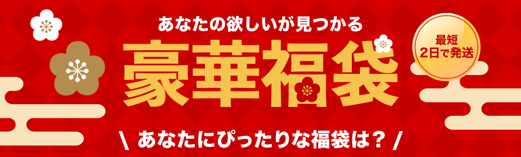 【数量限定】なくなり次第終了！豪華福袋 洗車用品 車 ウロコ取り 未塗装樹脂コーティング ヘッドライト黄ばみ取り ホイールクリーナー プロ専用 スポンジ  3個付き クロス